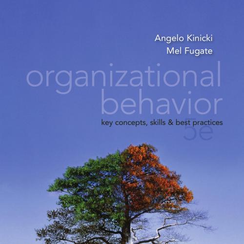 Organizational Behavior Key Concepts, Skills & Best Practices, 5th Edition