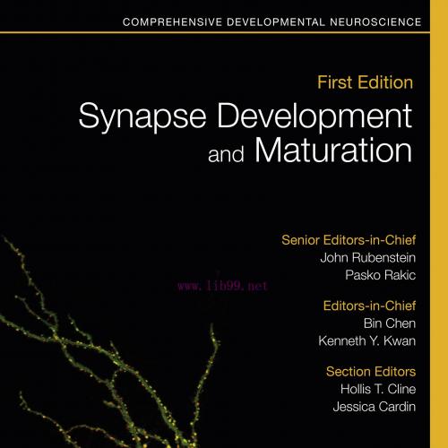 [AME]Synapse Development and Maturation: Comprehensive Developmental Neuroscience (EPUB)