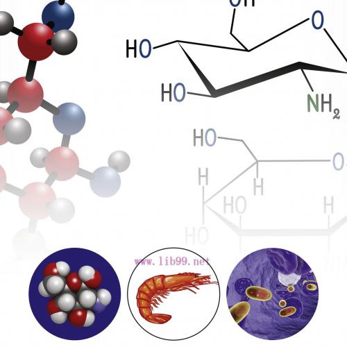 [AME]Chitosan in Biomedical Applications (Original PDF)