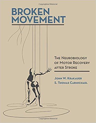 Broken Movement The Neurobiology of Motor Recovery after Stroke