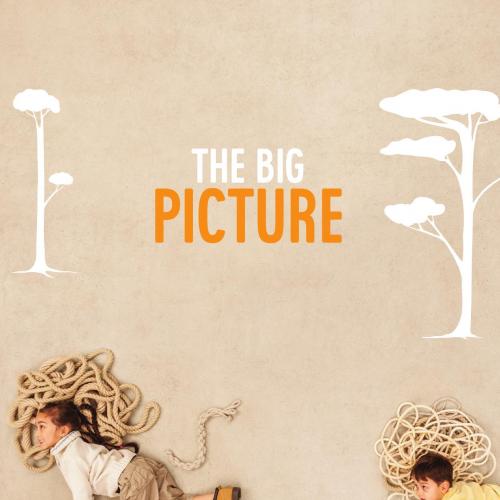 Big Picture with Online Study Tools 4th Edition By Karen Kearns 120Yuan , The