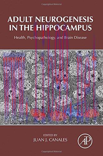 [AME]Adult Neurogenesis in the Hippocampus: Health, Psychopathology, and Brain Disease