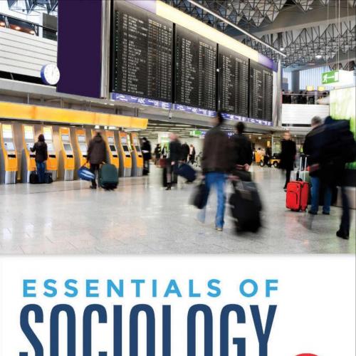 Essentials of Sociology 2nd Edition by George Ritzer
