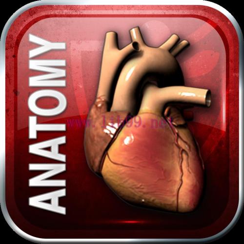 [AME]Doctors In Training: Solid Anatomy 2017