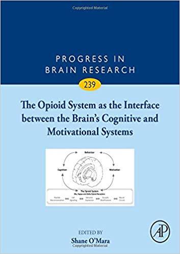 The Opioid System As the Interface Between the Brain’s Cognitive and Motivational Systems