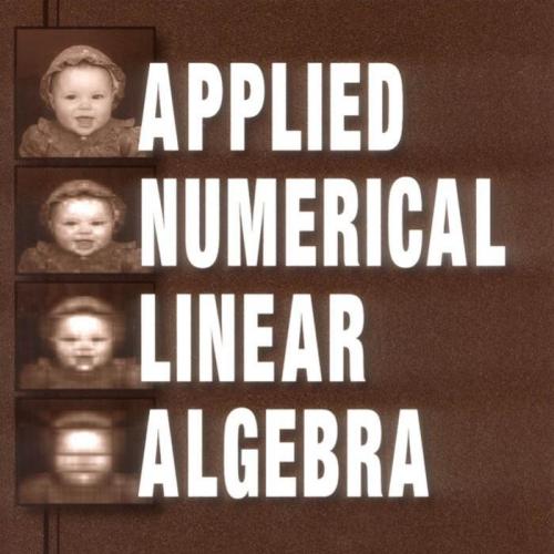 Applied Numerical Linear Algebra - Wei Zhi