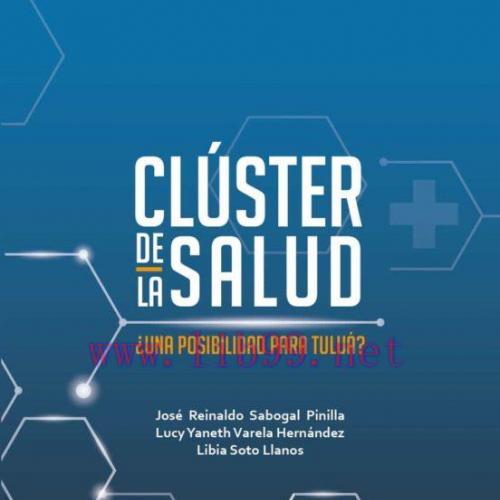 [AME]CLÚSTER DE LA SALUD. ¿UNA POSIBILIDAD PARA TULUÁ? (Original PDF)