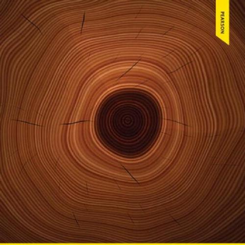 Global Issues 4th Edition by Richard J. Payne