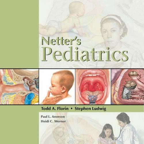Netter Pediatrics