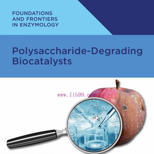 [AME]Polysaccharide Degrading Biocatalysts (EPUB)