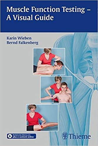 Muscle Function Testing - A Visual Guide + Videos