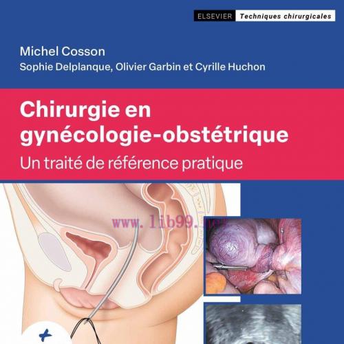 [AME]Chirurgie en gynécologie-obstétrique: Un Traité de référence pratique (True PDF from_ Publ...