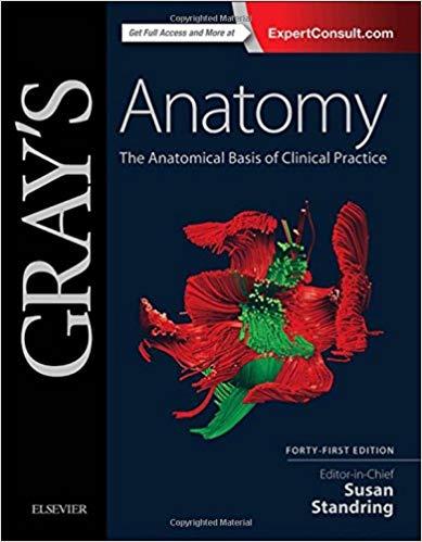 Gray‘s Anatomy - The Anatomical Basis of Clinical Practice 41th Edition