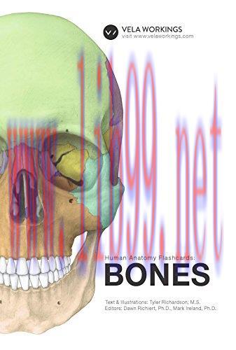 (PDF)Human Anatomy Flashcards: Bones