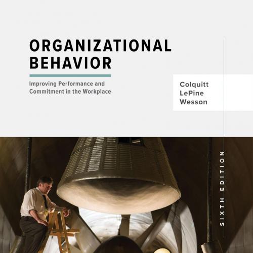 Organizational Behavior Improving Performance and Commitment in the Workplace 6th Edition-未知-