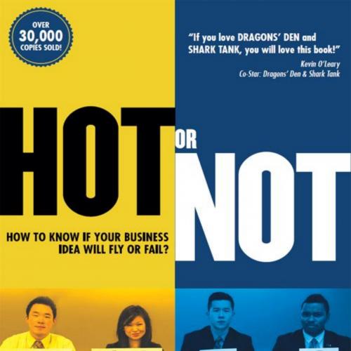 Hot or Not_ How to Know if your Business Idea will Fly or Fail
