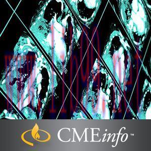 [AME]John Hopkins' Computed Body Tomography: The Cutting Edge 2015 (CME Videos)