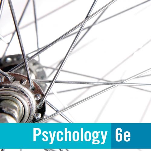 Psychology 6th Edition by James S. Nairne
