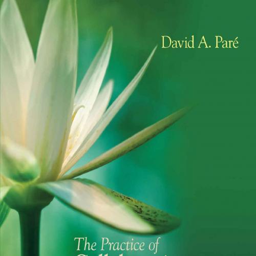 Practice of Collaborative Counseling and Psychotherapy, The