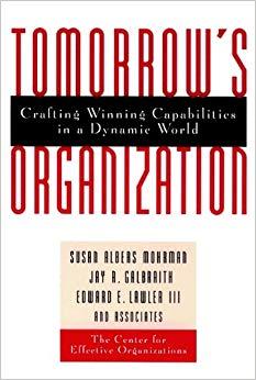(PDF)Tomorrow’s Organization Crafting Winning Capabilities in a Dynamic World 1st Edition