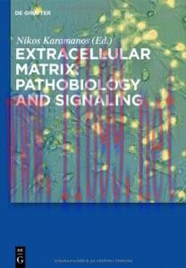 [AME]Comparative Pathophysiology and Toxicology of Cyclooxygenases (Original PDF)