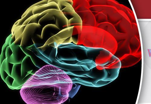 [AME]USCAP Practical Neuropathology for Today’s Practice - Interactive Microscopy 2019 (CME VID...